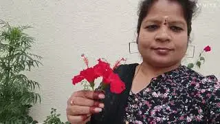 31 సెలబ్రేషన్స్ ⭐❤💕😋 ప్రిపరేషన్ 😁