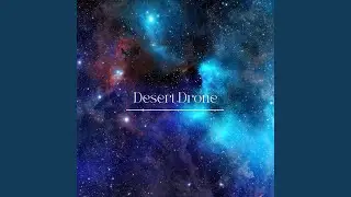 Desert Drone