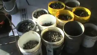 Making my lead ingots #1