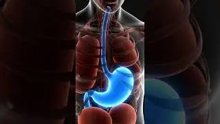 Gastric  Acidity Medicine