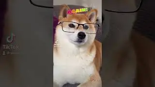 why is it monday again?