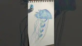 Satisfying colouring // Art manifesto #coloring #sea #alcoholmarkers #shorts #ohuhu