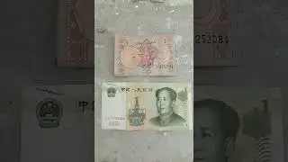 1 Yuan vs. 1 Rupee: A Fascinating Comparison of Chinese and Pakistani Currency Notes