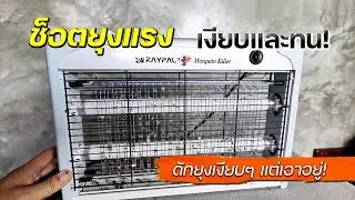 รีวิวเครื่องช็อตยุง Raypal 20W | หลอดนีออนดูดแมลงแรง! เงียบ ทน คุ้มราคา