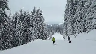 Piste verte de Marvel - MORILLON