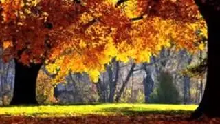 Stephen Monahan - The Leaves Of Fall