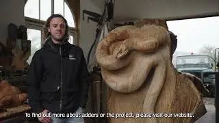Adder-themed bench and sculpture | Recovering Adders on the Cotswold Escarpment project