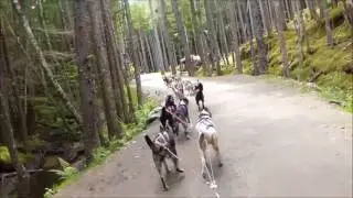 Skagway part 2, Musher's Camp
