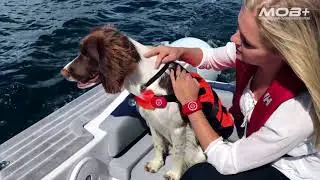 MOB+ Wireless Man OverBoard System