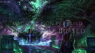 MagSorc Non Pet 42k DPS Self Buffed Build ESO Clockwork City