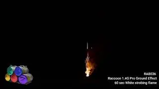 Raccoon Fireworks 1.4G Pro Line RA8036  60 sec White strobing flame