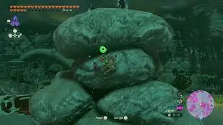 Weapon x3, Sinonoyk Lightroot | The Legend of Zelda: Tears of the Kingdom (NS)