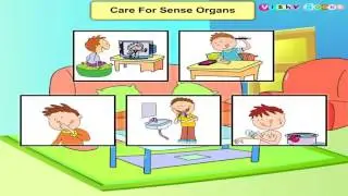 Care for Sense Organs | Science