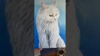 Wait for the final result 🫡 #cat #cats #catlover #catshorts #gatto #gato
