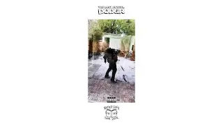 The Last Artful, Dodgr - Better Safe Than Social