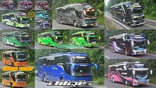 Mobil Bus Telolet Bilqis Black Eagle, Carmen, Fatamorgana, Rama, Swike Land, Aventador, Labubu