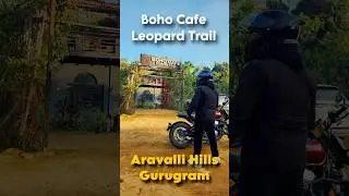 Best Cafe In Delhi NCR ? ? Boho Cafe | Gurgaon, Leapord Trail, Aravalli Hills