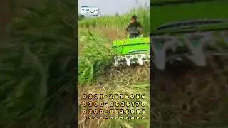 Reaper Machine | Harvesting Machine | Mini Reaper Machine | #reapermachine #miniharvester #farming