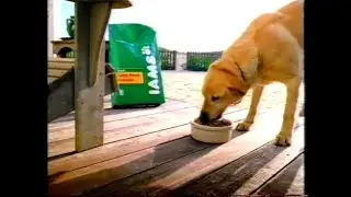2000 Iams Large Breed Formula Dog Food Commercial 🐕 