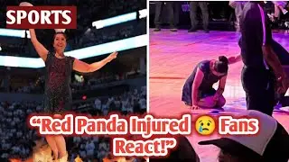 Red Panda, Halftime Show Icon, Breaks Wrist &mdash; Fans Send Love & Support