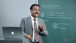 SURGERY : RENAL STONES