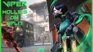VALORANT New and Original Viper Molly Spots on Split