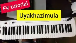 F# Song Tutorial: Uyakhazimula