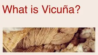 Vicuna Fiber Research Project ADN 2410