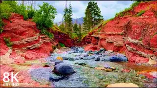 Immerse Yourself in Music and  8k Nature's Bliss