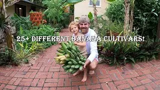 Florida Banana Garden Tour | Check out our 25+ different varieties of Banana plants!