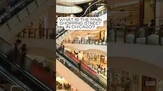 50. What is the main shopping street in Chicago?