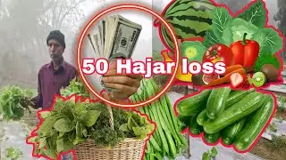 Miscreants destroy agricultural land in the dark of night.  40 to 50 thousand rupees loss