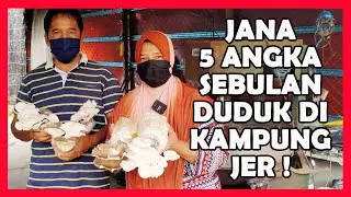 Rahsia Buat Duit 5 Angka Sebulan, Dengan Tanam Cendawan, Projek Sekitar Halaman Rumah di Kampung