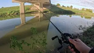 Do Redfish and Bass Coexist Here? Targeting Multiple Species in a Texas River.