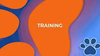 Meet Priority Boarding's Dog Academy!