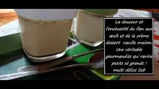 MULTI DELICES SEB Flan aux œufs et de la Crème dessert  vanille