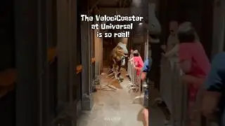In line for VelociCoaster when this happens!