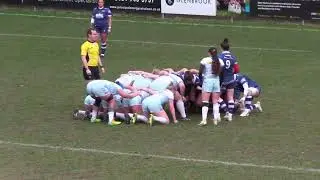 Sale Sharks vs Harlequins