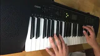 The Sounds on this Keyboard Surprise Me! Amazing Casio CTK 240