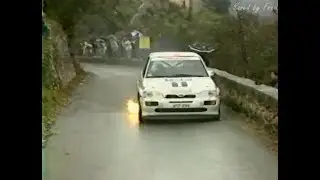 Rallye Grasse Alpin 1993