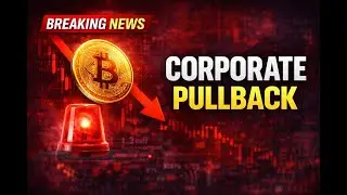 BREAKING NEWS: Strategy Halts Bitcoin Buying in a Stunning Defensive Shift