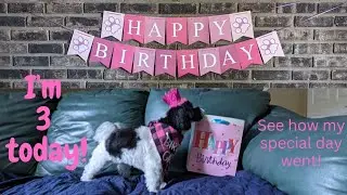 Today we celebrated her 3rd birthday!🎂