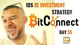 10$ Reinvestment Strategy, Bitconnect