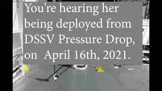 The Deep Acoustic Lander in the Challenger Deep, Mariana Trench