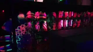 Psyla @ Digital Forest Festival Promo Party in Arad Romania
