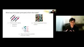AlphaMissense predictions for human genetic variation research