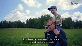 Young forests can become carbon sinks in eight years