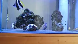 MVI_1230.AVI