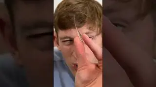 Покупаю настоящие шорты Prince Rupert&rsquo;s Drops