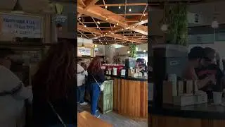 The BEST coffee in Savannah, Georgia? | ☕️ The Coffee Fox
